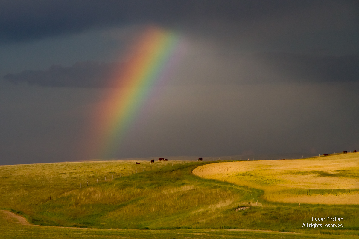 Rainbow and Gold (repost)