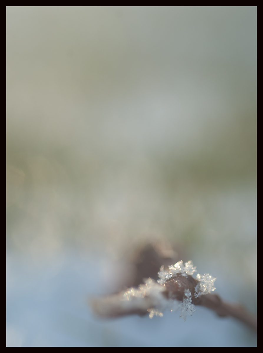 Quite Cold