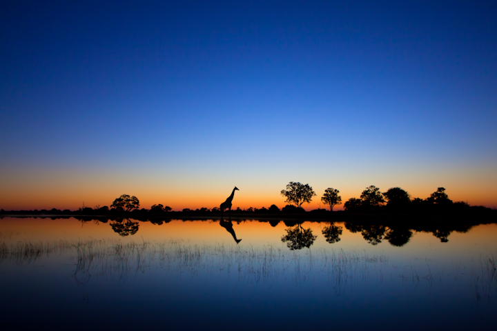 Okavango Sunrise