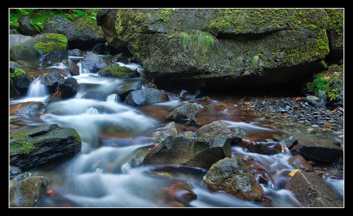 Gorge Stream