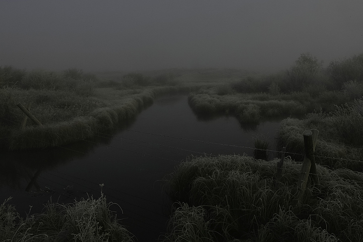 Elk Springs Creek in Fog