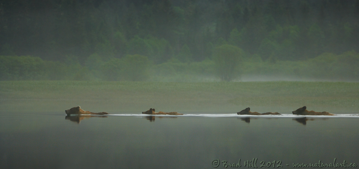 Swimming in Solitude