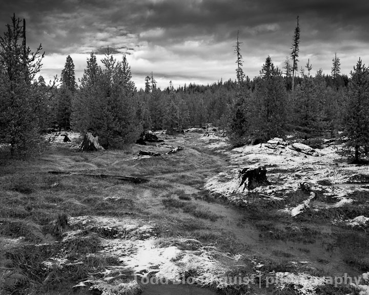 Winter Stream