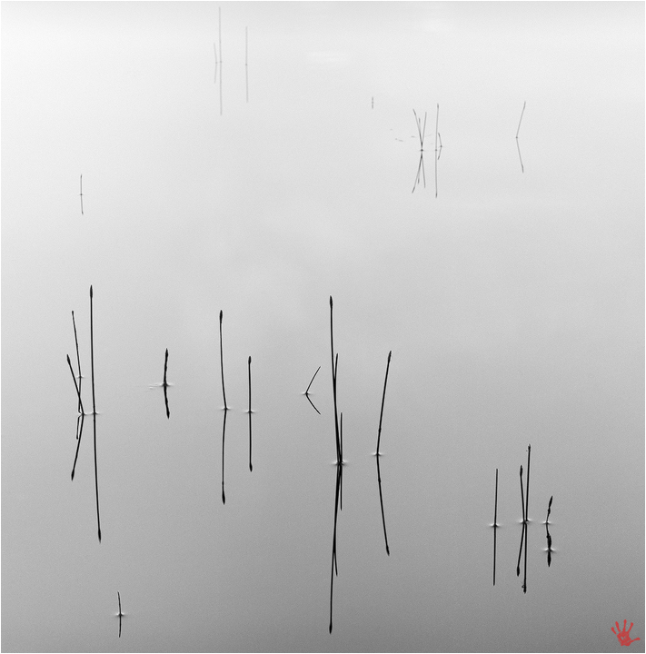 symphony in B minor