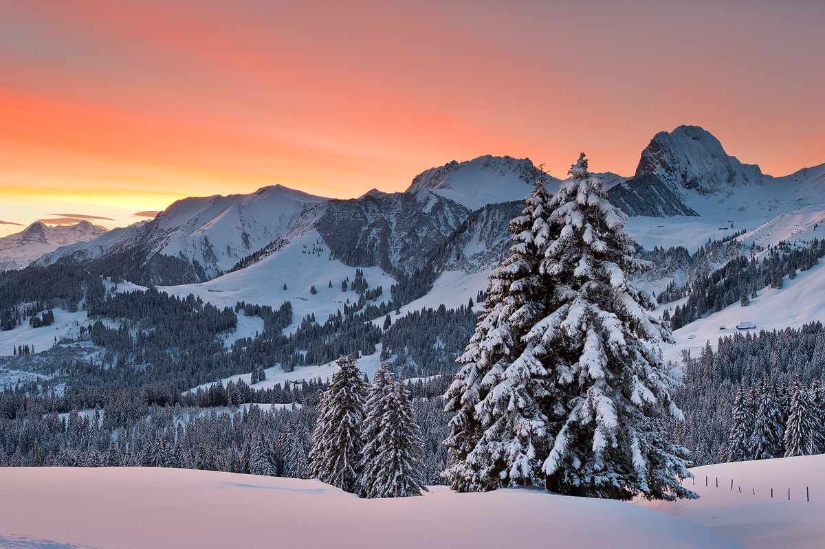 Winter Morning