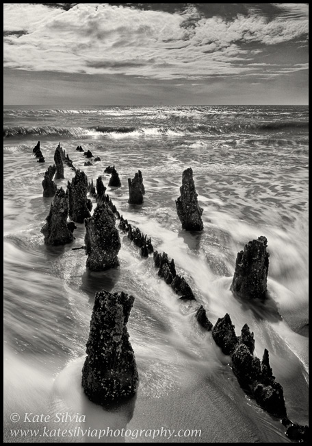 Folly Pilings