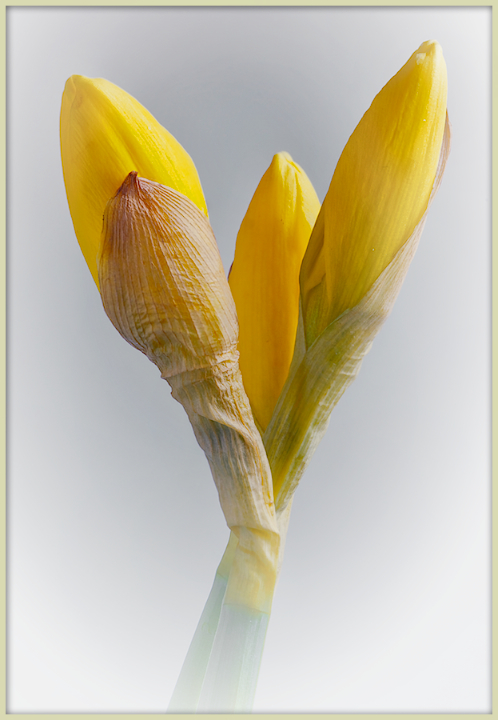 New Life