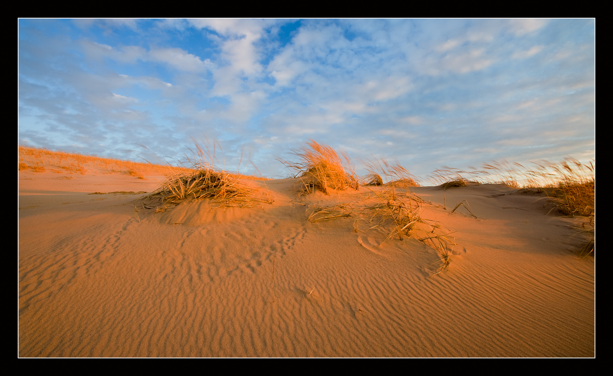 Sleeping Bear Dunes