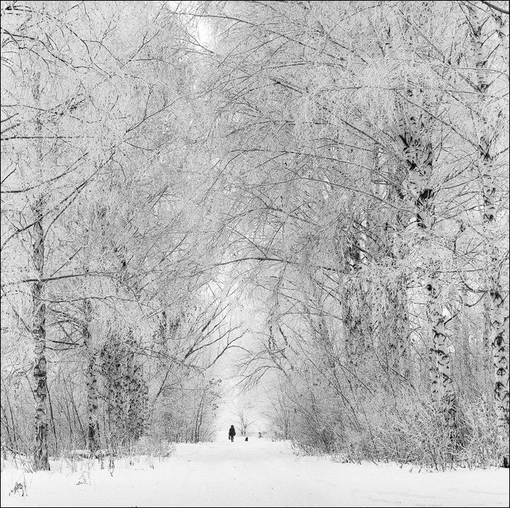 walking the dog