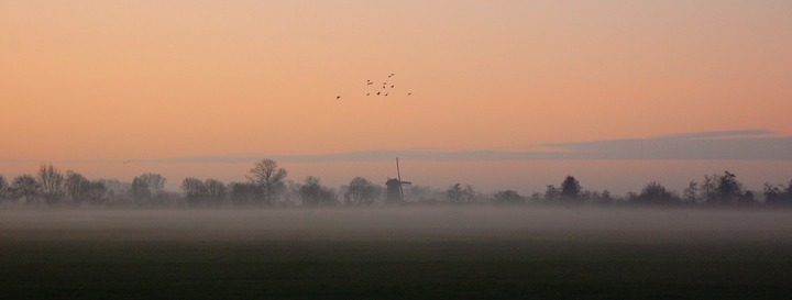 Dutch wintermorning