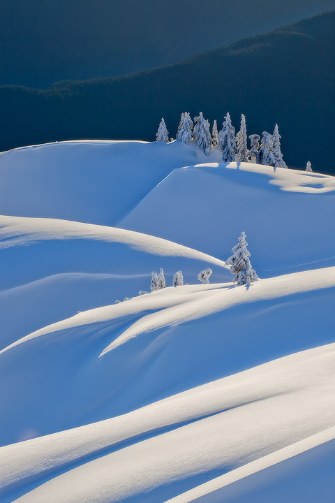 Layers of  Snow