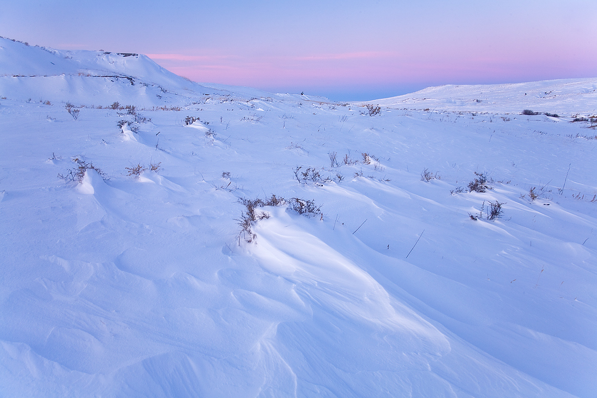 Silent Shroud of Snow