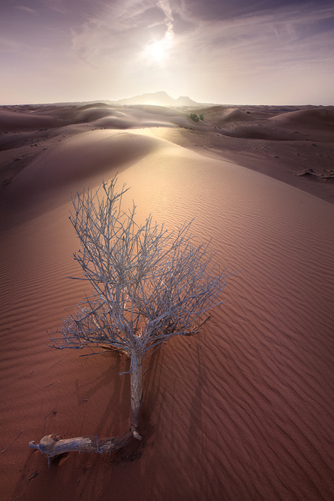 Never give up