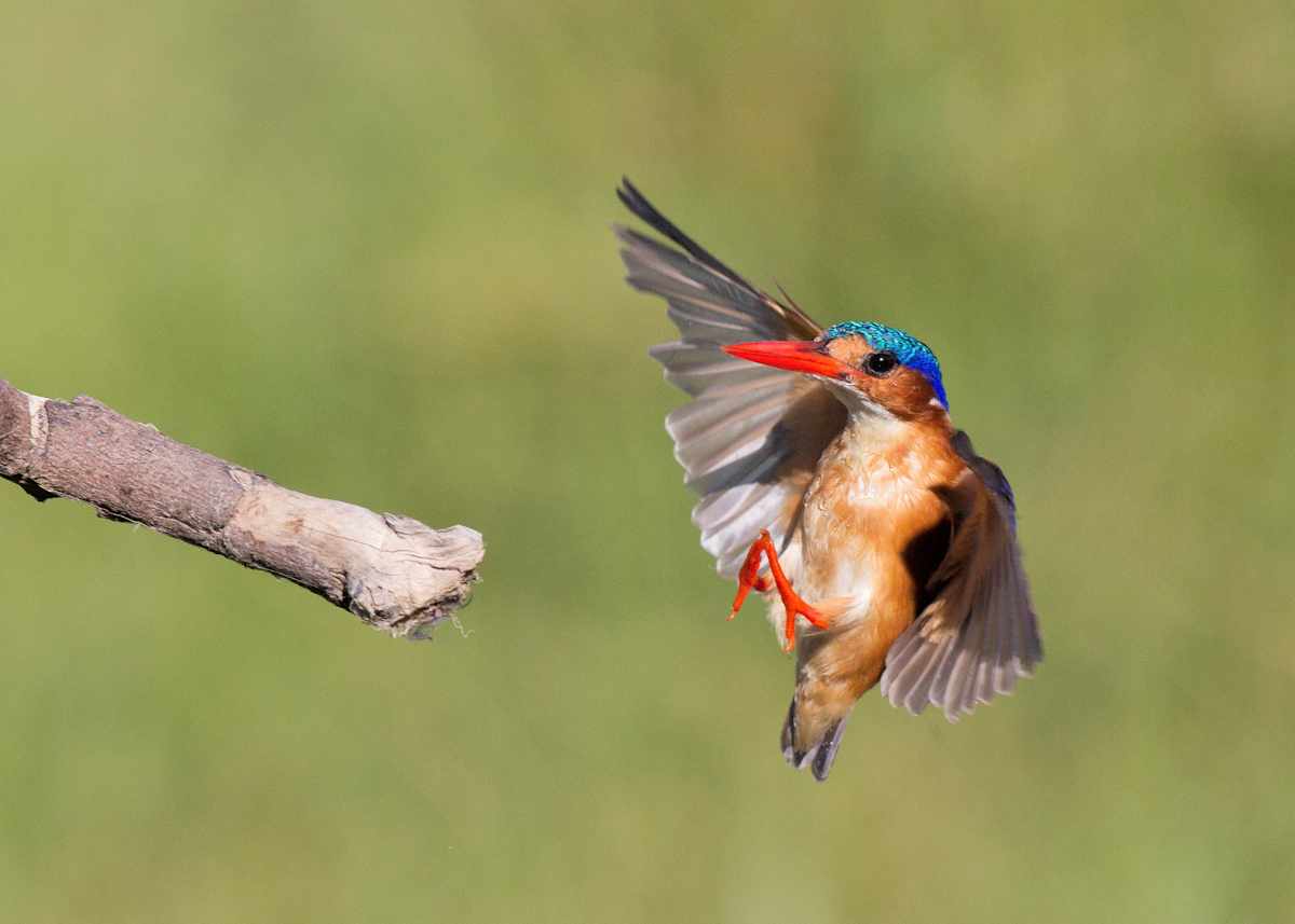 Hot Landing!