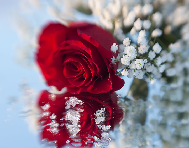 Happy Valentine to All 