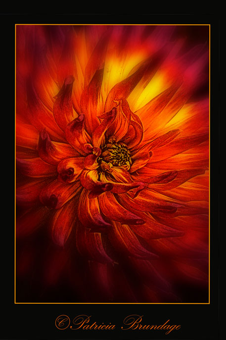 Glow of Fire