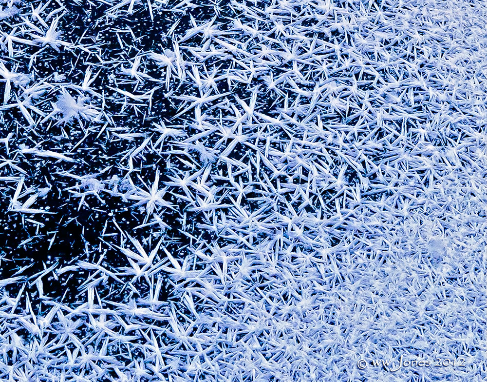 Invasion of Ice Spiders