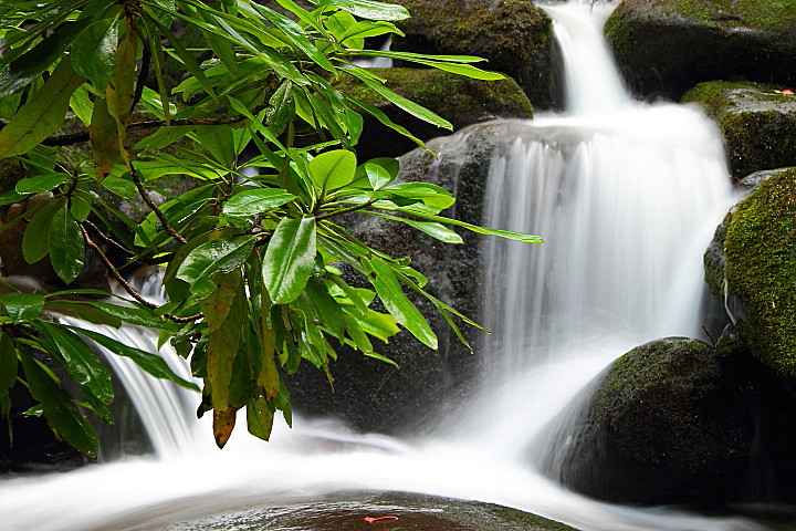 Smoky Mountains