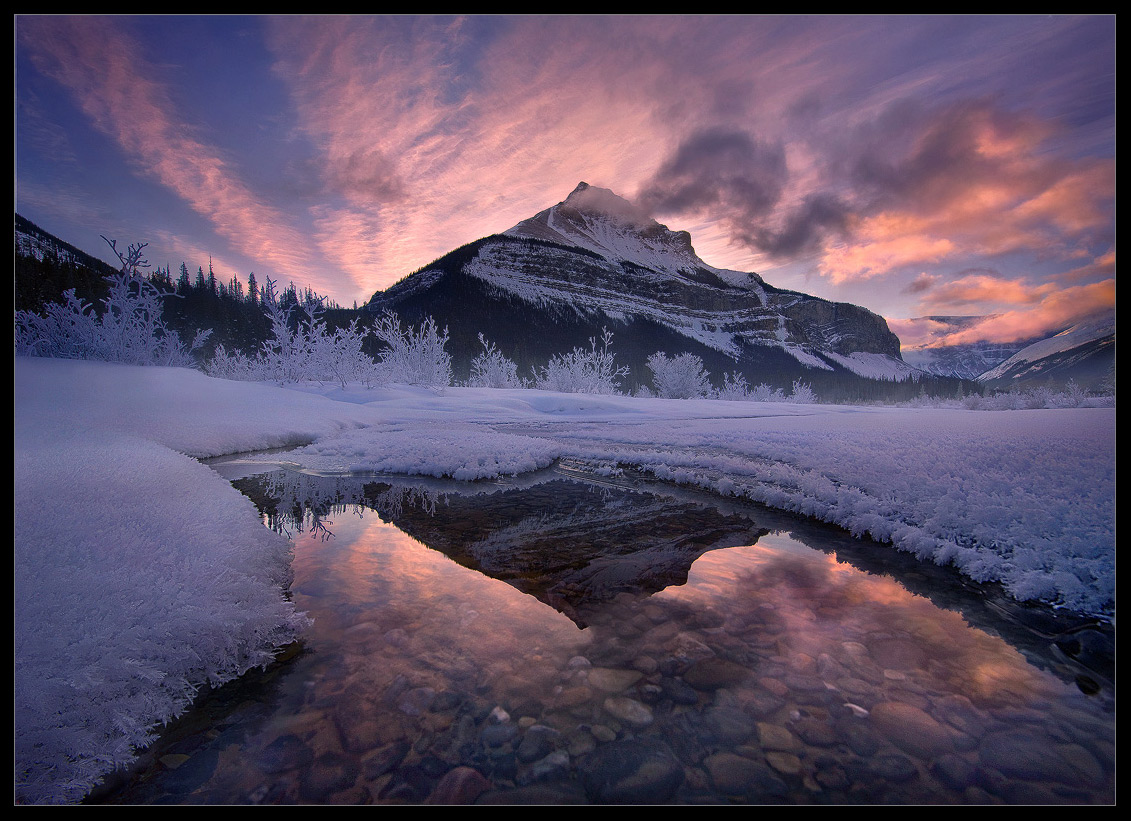In Winter's Shadow