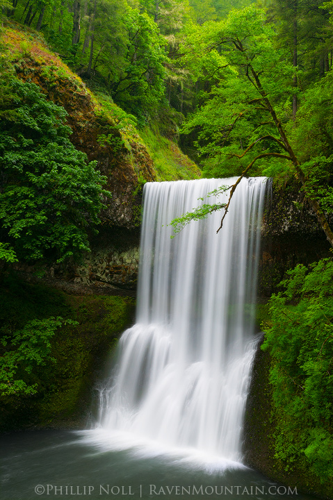 Lower South Falls