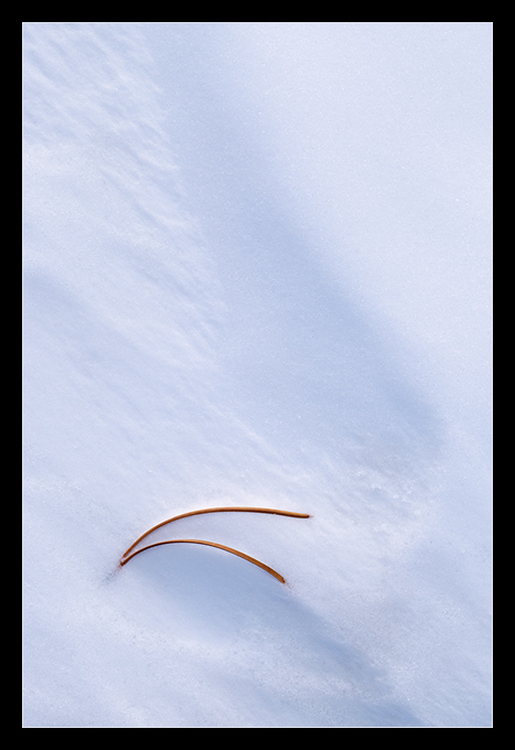 Soft but Pointy!