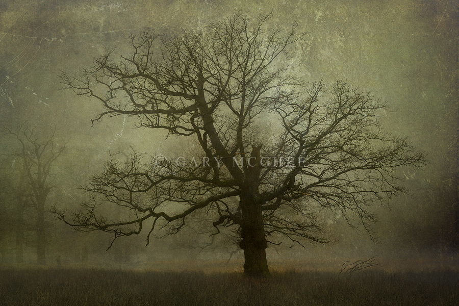 Photo Art - 2nd HM