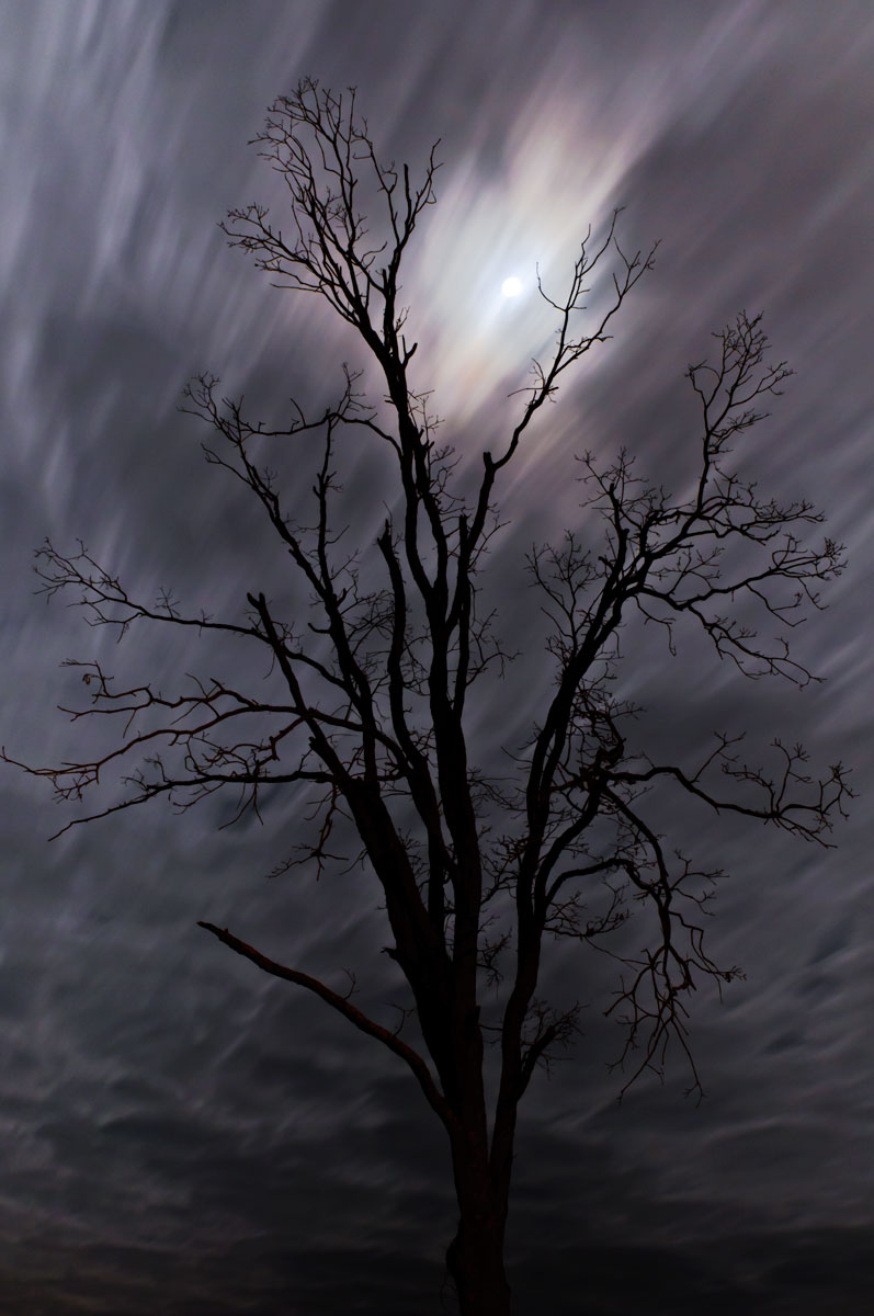 Darkness He Called NightREPOST