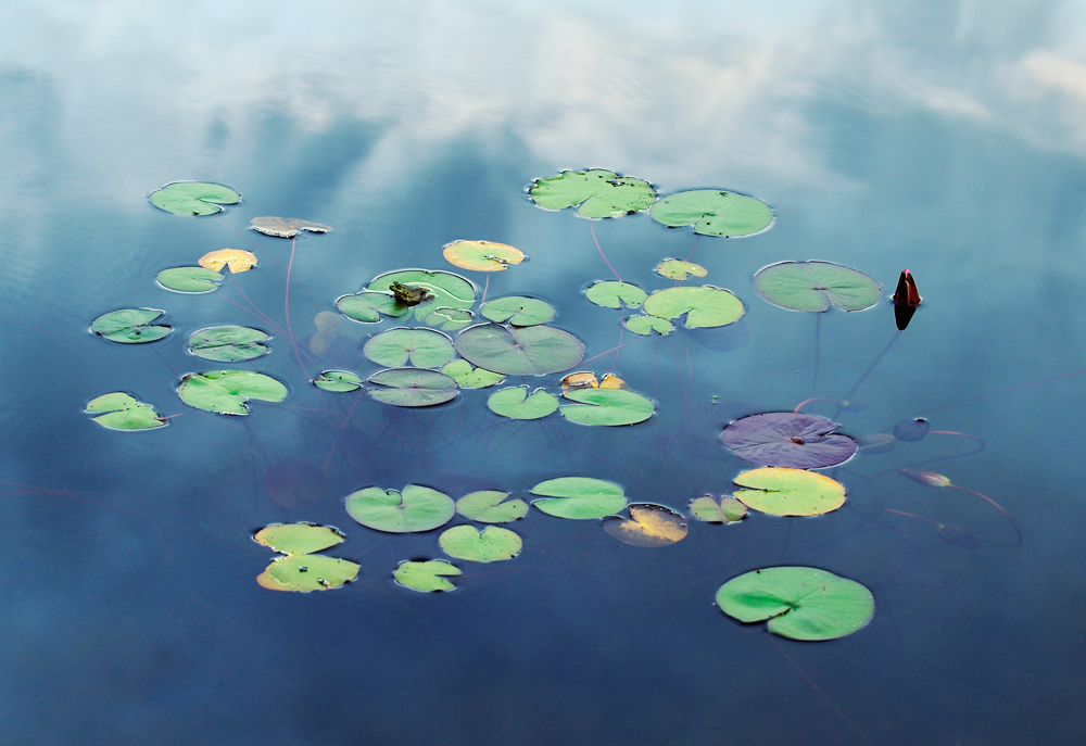 Solitude