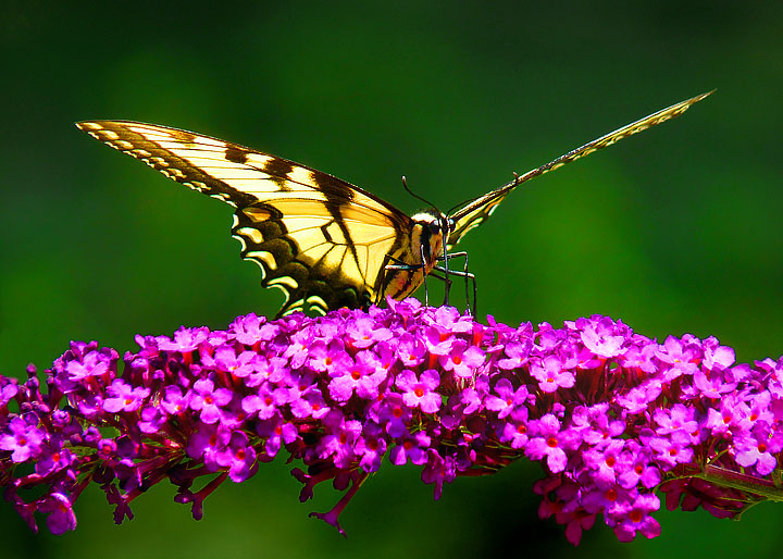 Ready for take-off