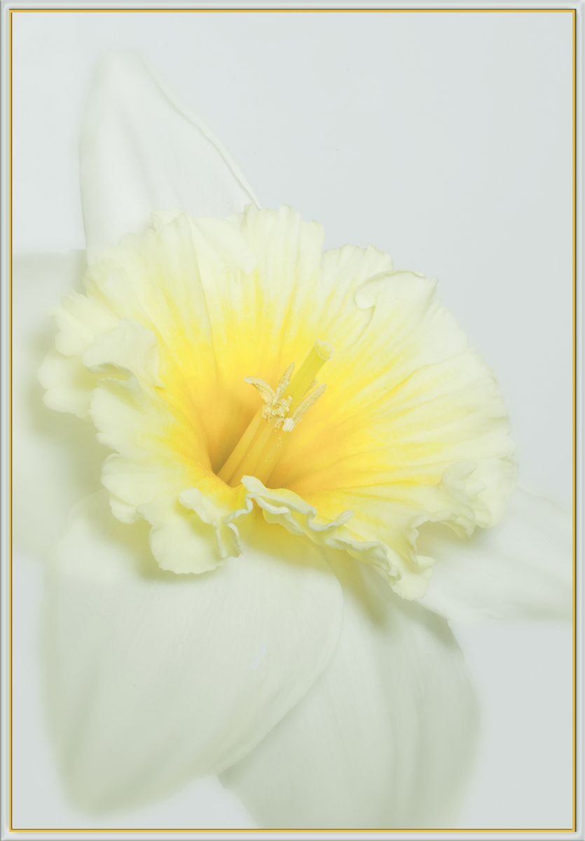 Harbinger of Spring