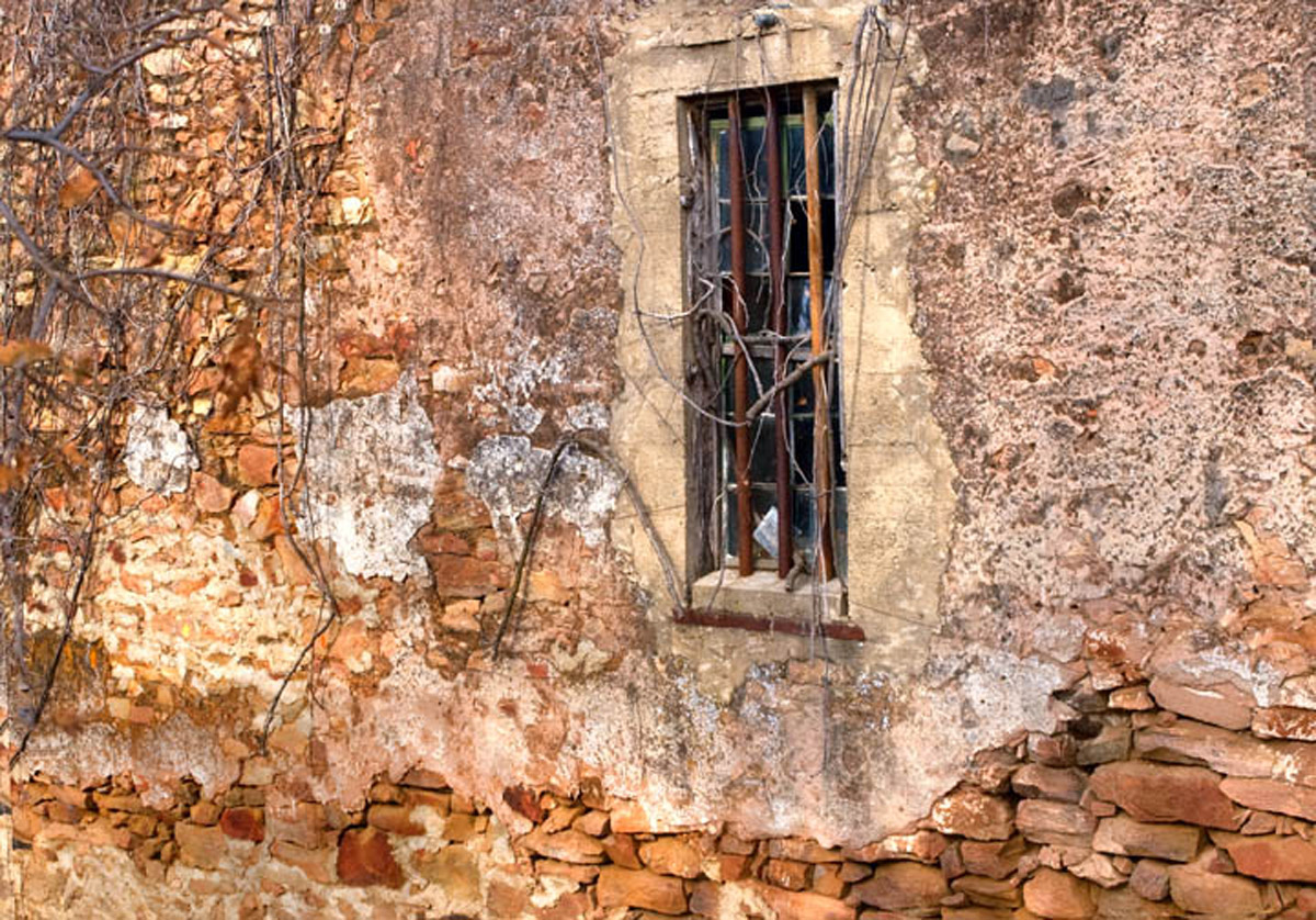 Vine Covered Adobe Wall