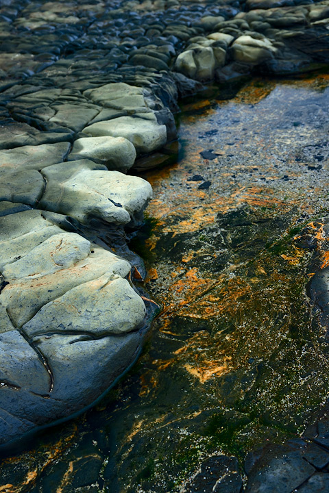 Kimmeridge Bay detail 2