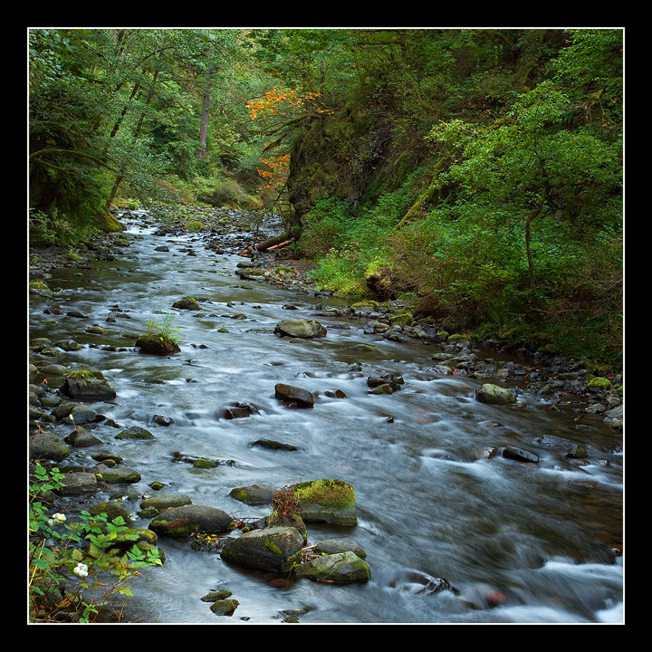 Somewhere in the Gorge