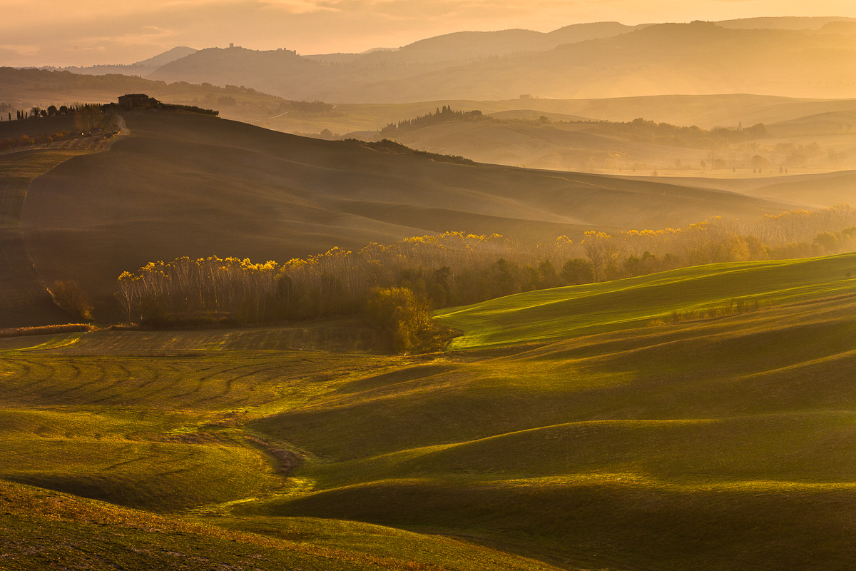 Tuscan Light