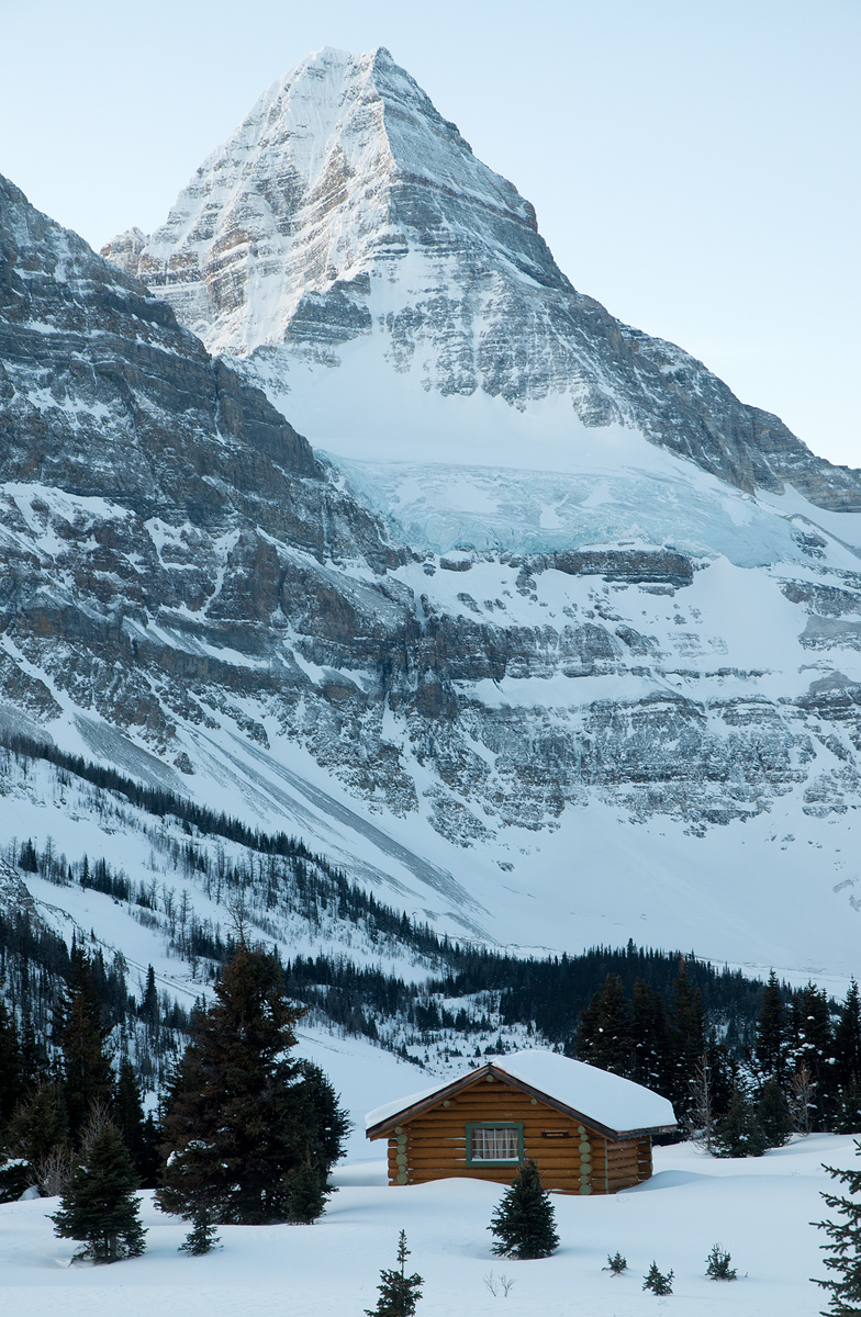 Winter Refuge