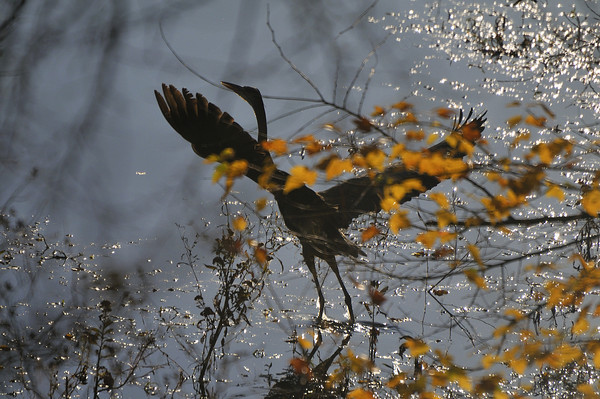 Up, Up, and Away!