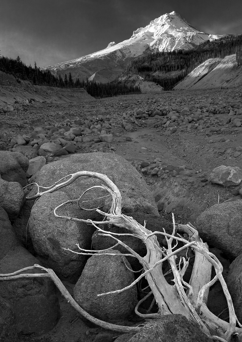 Mt Hood From White River