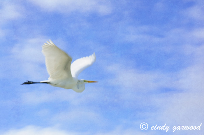 First Flight