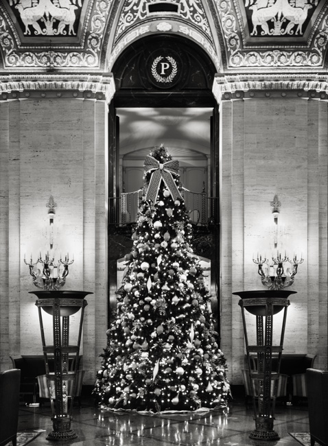Xmas in  Palmer House  