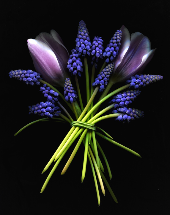 Shades of Spring Purple-Repost