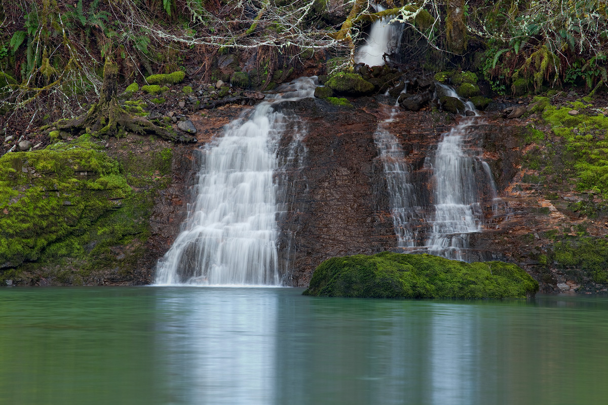In the Oregon Cascades