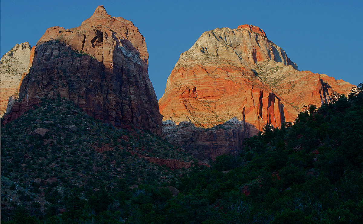 Zion Morning Light