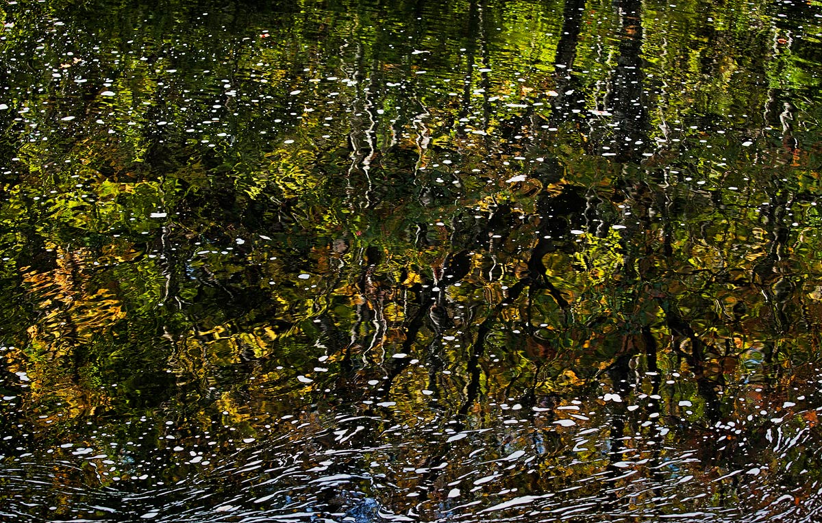 Autumn Reflections