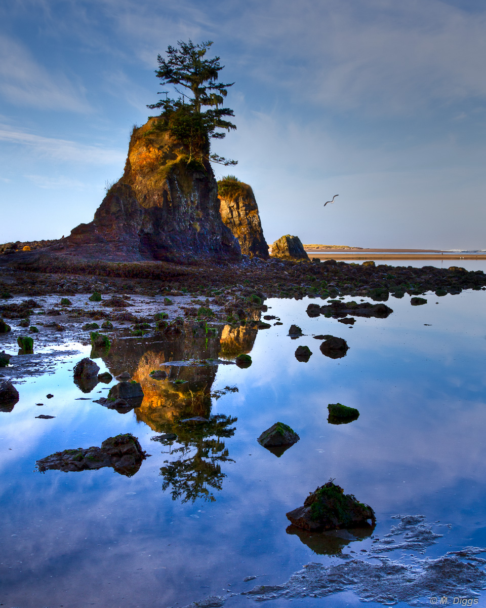 Bonsai Monolith with Re-post