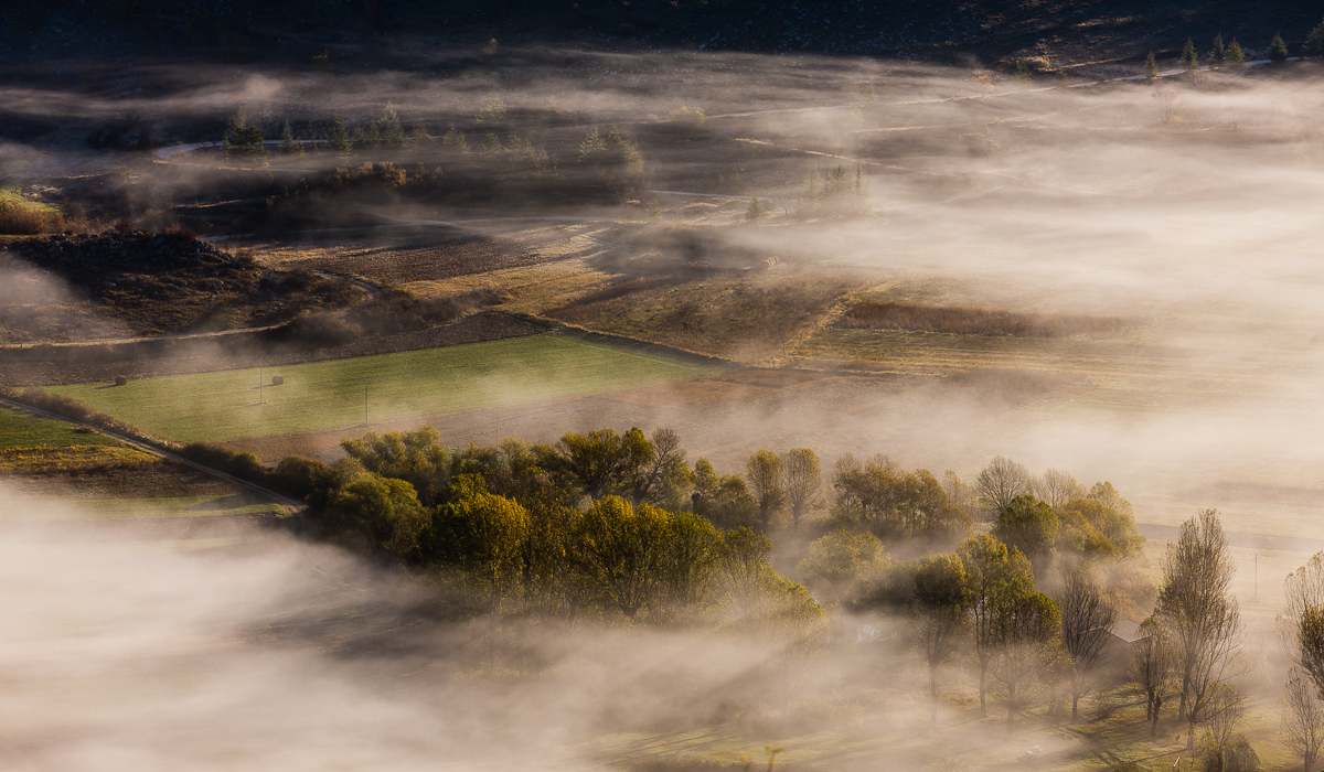Landscape in Fog