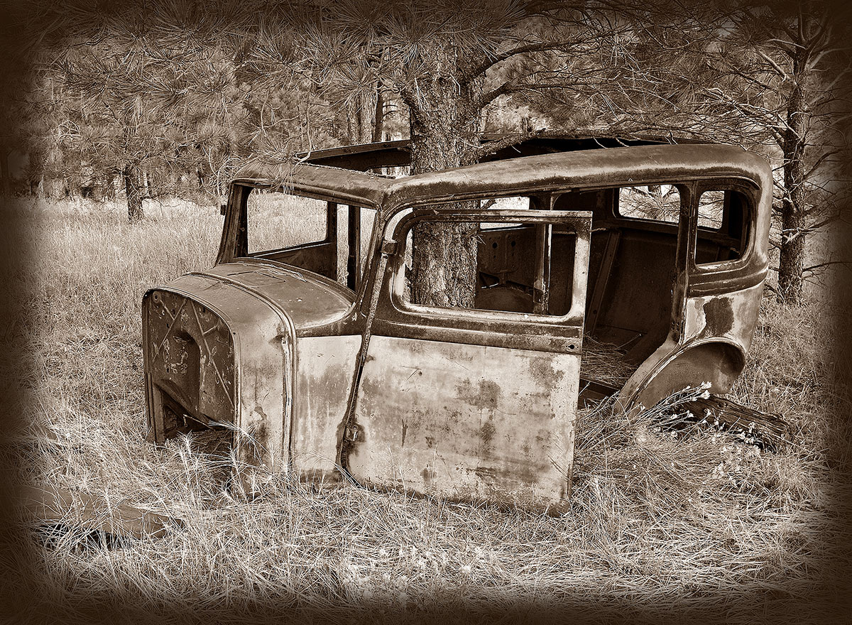 Aboreal Car  WC#525