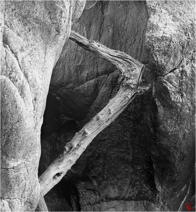 logjam