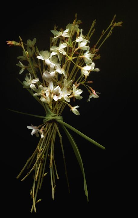 Spring Whites Bouquet