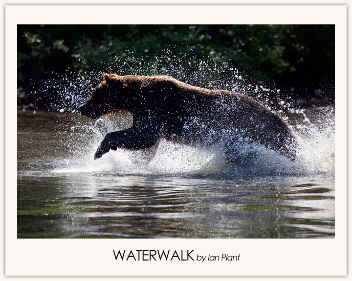 Waterwalk