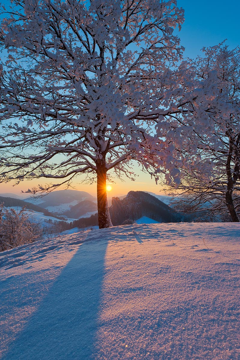 Magic Jura